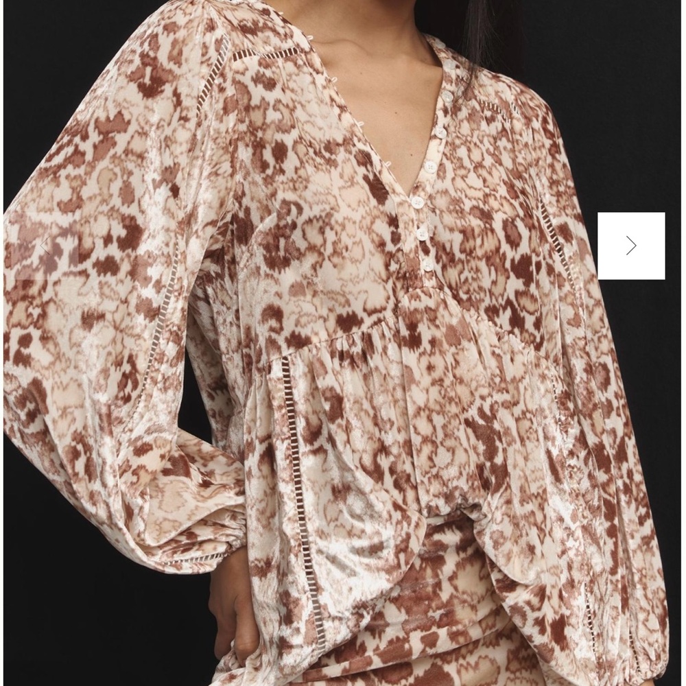 Anthropologie Brown Blouse Chic Top Long-Sleeve Velvet Tunic Top
